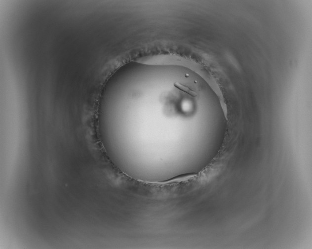 X0000113560192200909251106