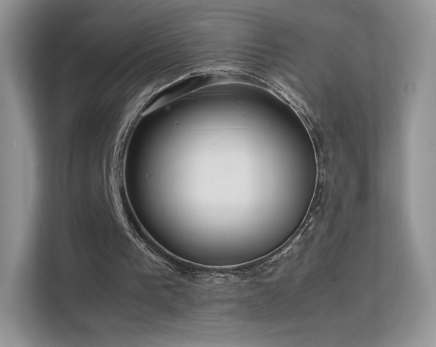 X0000113560193200909251105