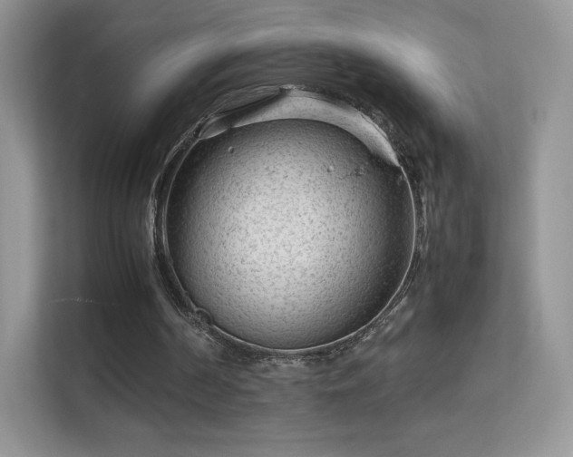 X0000113560194200909251105