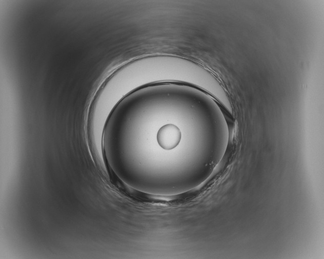 X0000113560195200909251105