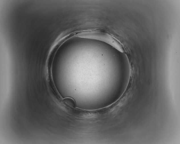 X0000113560198200909251105