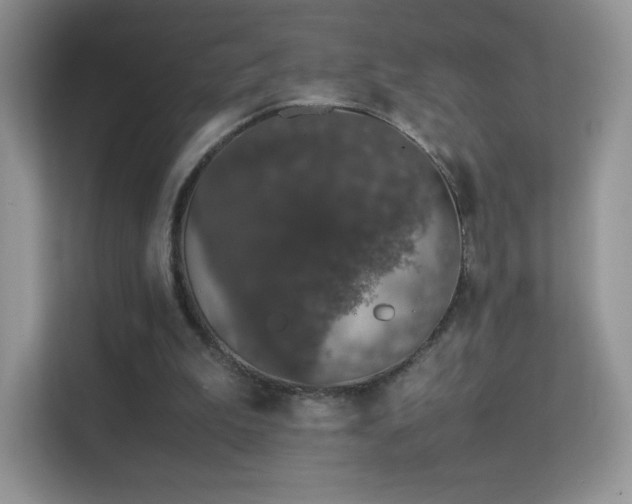 X0000113560199200909251105