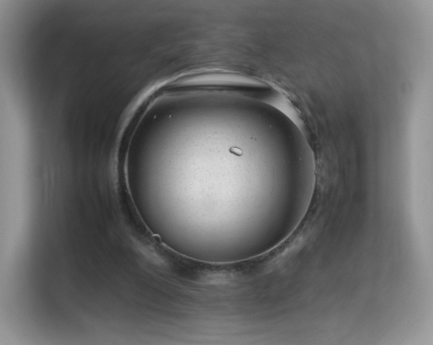 X0000113560200200909251105