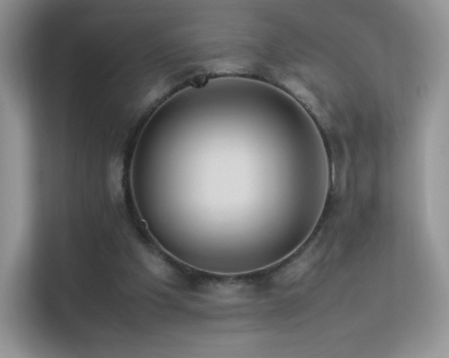 X0000113560201200909251105