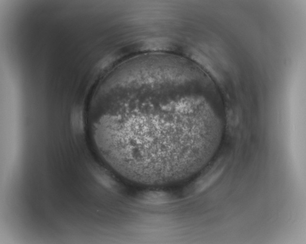 X0000113560203200909251105