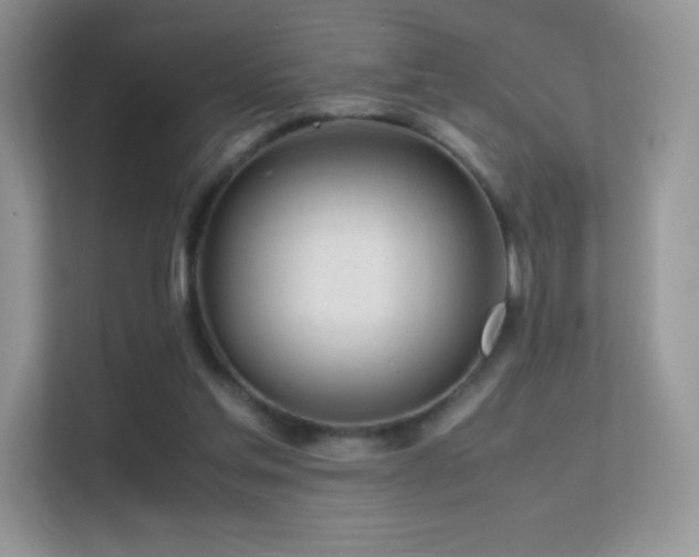 X0000113560205200909251105
