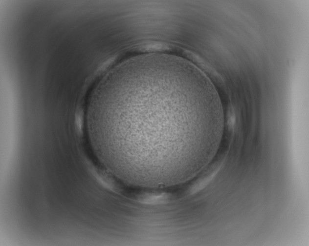 X0000113560206200909251105