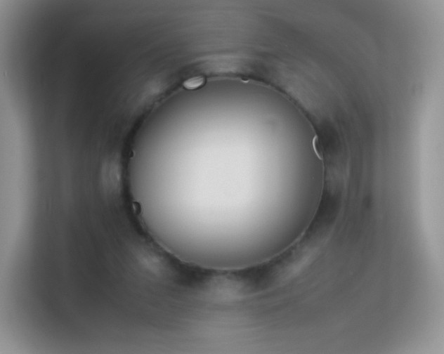 X0000113560207200909251105