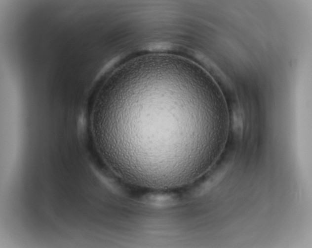 X0000113560208200909251105