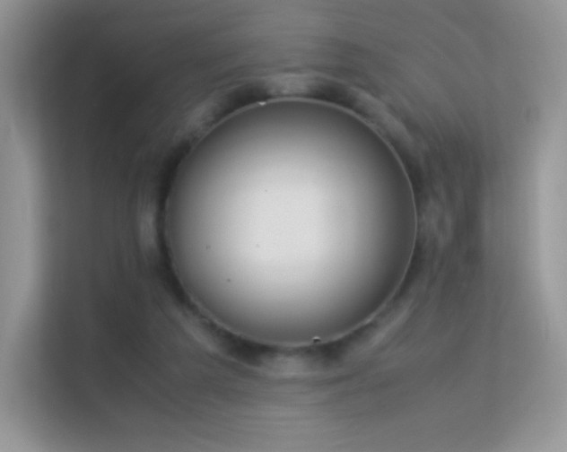 X0000113560209200909251105