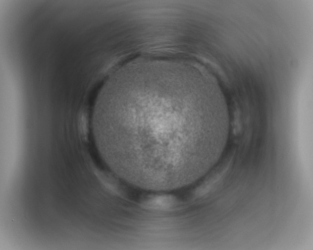 X0000113560210200909251105