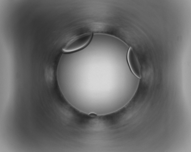 X0000113560211200909251105