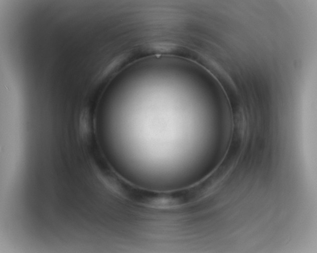 X0000113560212200909251105