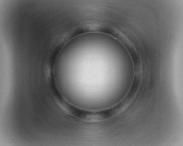 X0000113560213200909251105