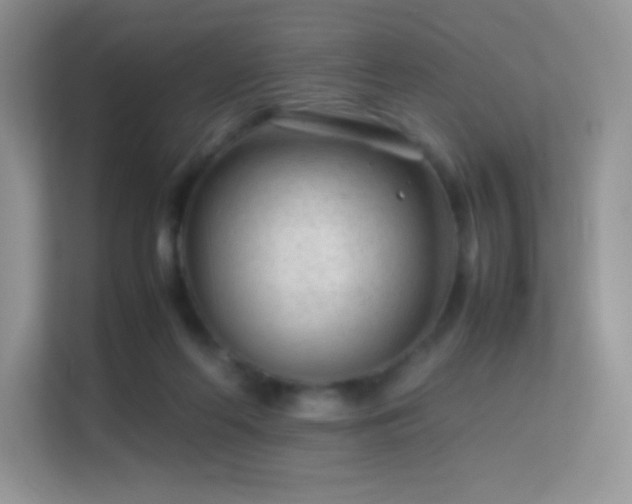 X0000113560214200909251105