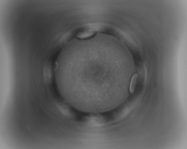 X0000113560215200909251105