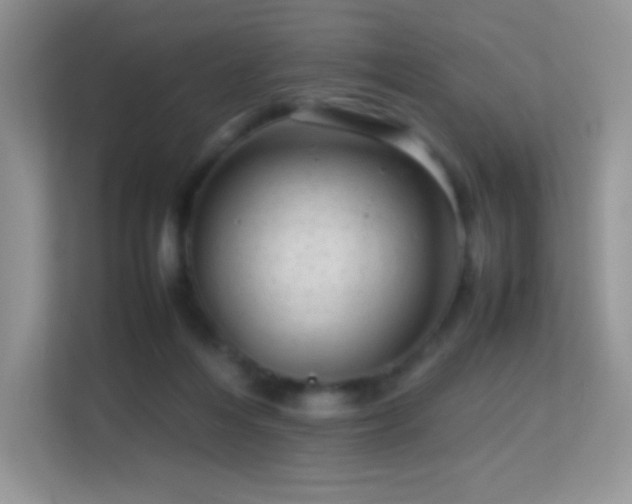 X0000113560216200909251105