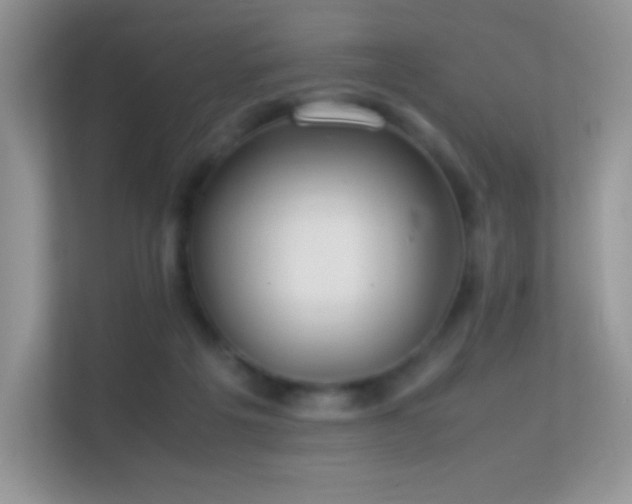 X0000113560217200909251105