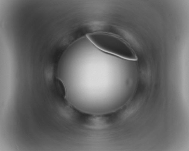 X0000113560221200909251105