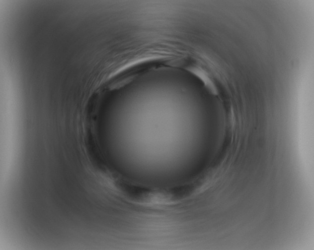 X0000113560223200909251105