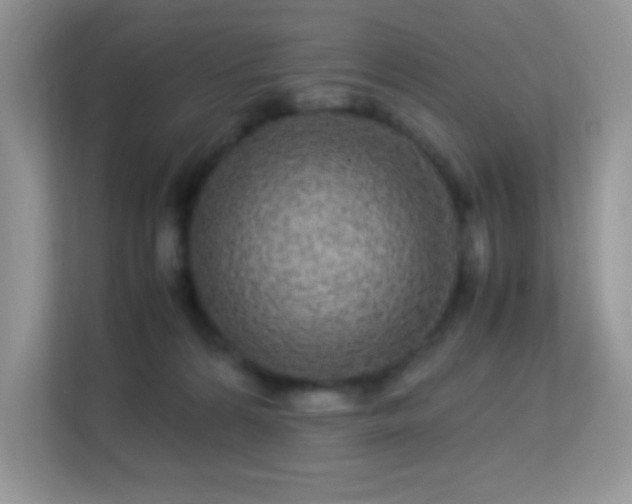 X0000113560224200909251105