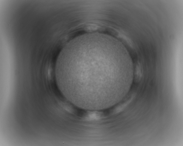 X0000113560226200909251105