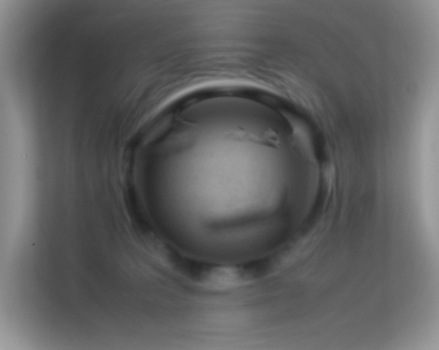 X0000113560227200909251105