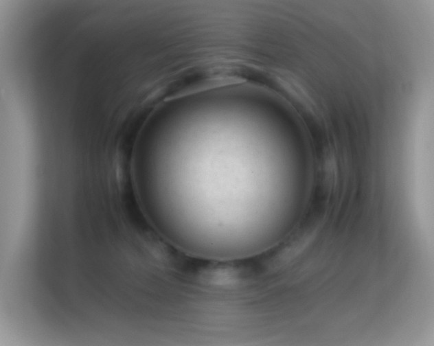 X0000113560228200909251105