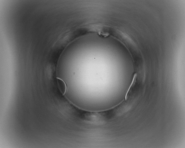 X0000113560229200909251105