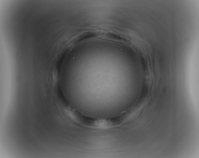 X0000113560231200909251105