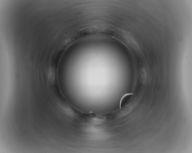 X0000113560232200909251105
