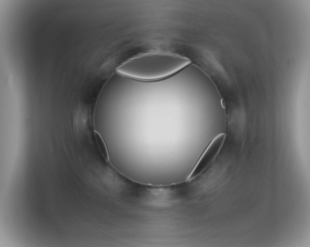 X0000113560233200909251105