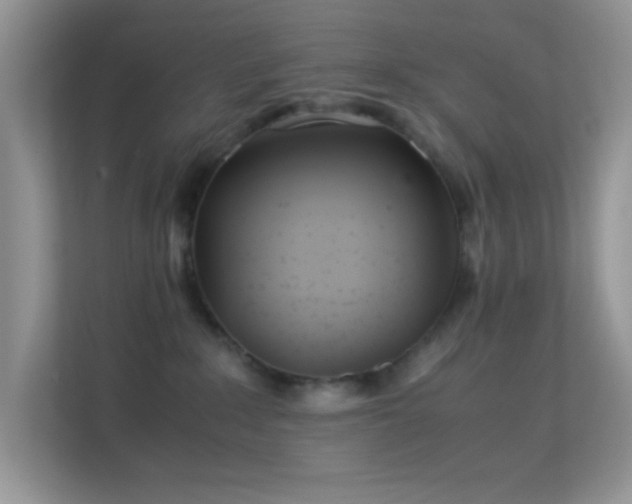 X0000113560235200909251105