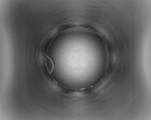 X0000113560236200909251105