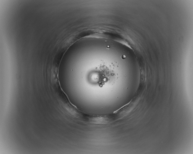 X0000113560237200909251105