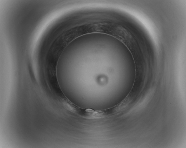 X0000113560239200909251105