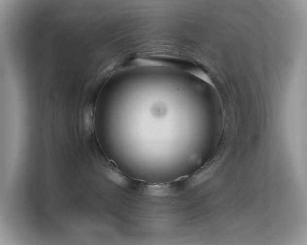 X0000113560240200909251105