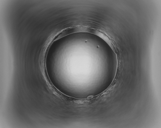 X0000113560241200909251104