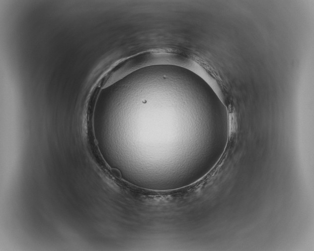 X0000113560243200909251104