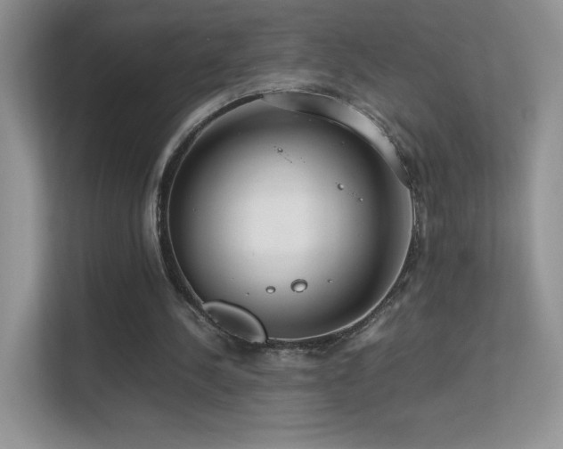 X0000113560244200909251104