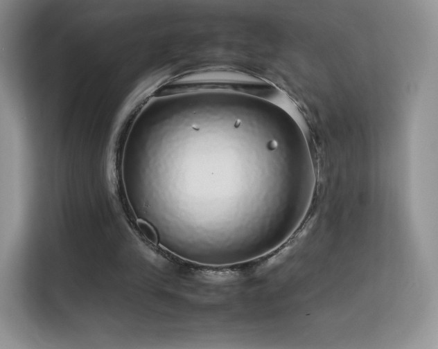 X0000113560245200909251104