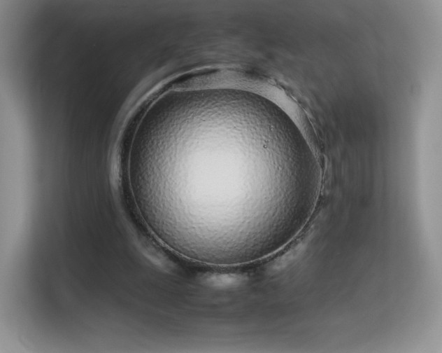 X0000113560247200909251104