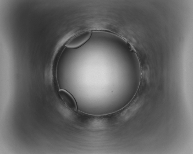 X0000113560248200909251104
