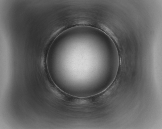 X0000113560249200909251104