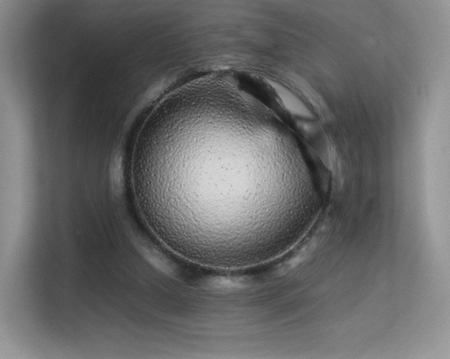 X0000113560250200909251104