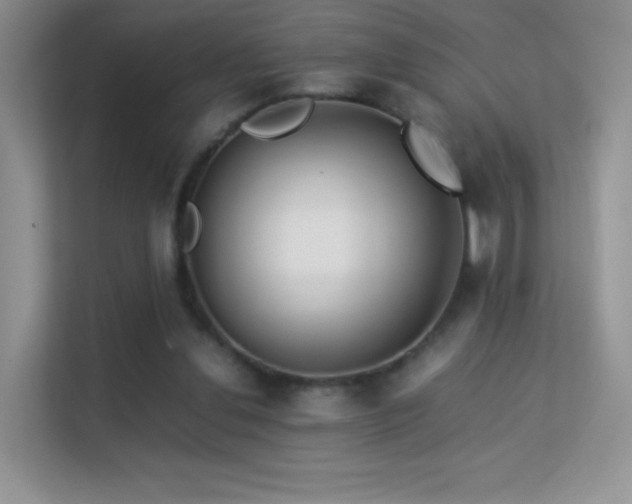 X0000113560252200909251104