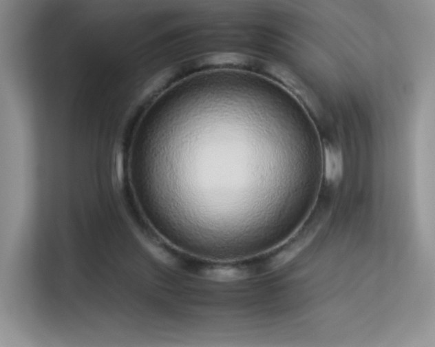X0000113560253200909251104