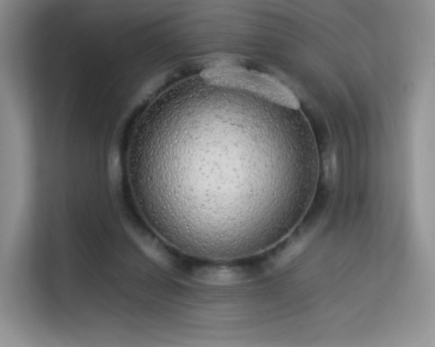 X0000113560254200909251104