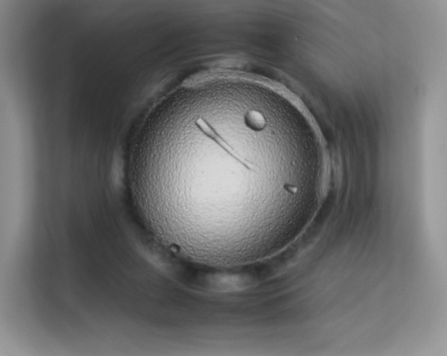 X0000113560255200909251104