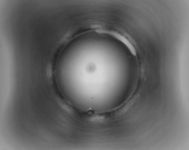 X0000113560257200909251104